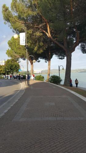 a street with trees on the side of a road at Orto degli Ulivi in Sinalunga