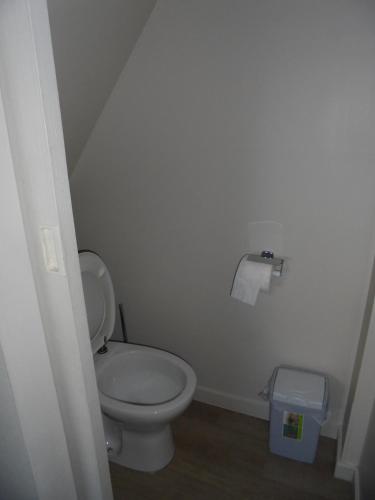 a bathroom with a white toilet and a trash can at B&B House Caesekin in Diksmuide
