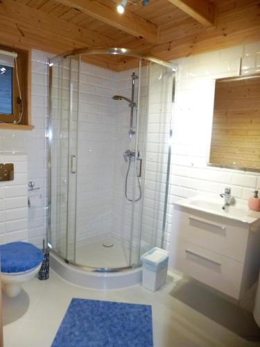 a bathroom with a shower and a toilet and a sink at Cztery Pory Roku in Trzęsacz