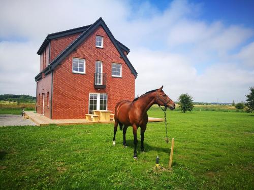 a horse standing in a field in front of a house at Klevas in Karklė