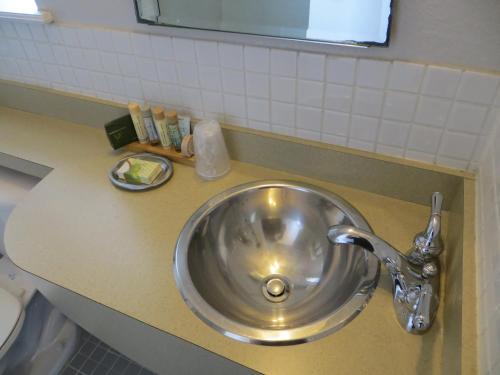 a stainless steel sink in a bathroom at The EO Inn - Downtown Orlando in Orlando