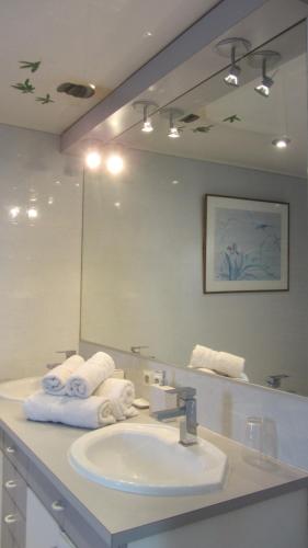 a bathroom with a sink and a large mirror at Villa le Lac - Cottage au bord du Lac d' Annecy - chambres - in Veyrier-du-Lac