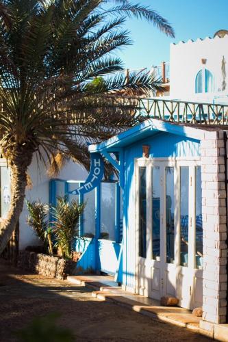 a blue and white house with a palm tree at El Primo Hotel Dahab in Dahab