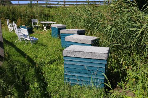 a row of tables and chairs in the grass at Pension Roager in Jejsing