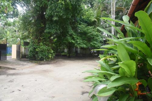 a courtyard with a large tree in a yard at Marari Bethsaida Homestay in Shertallai