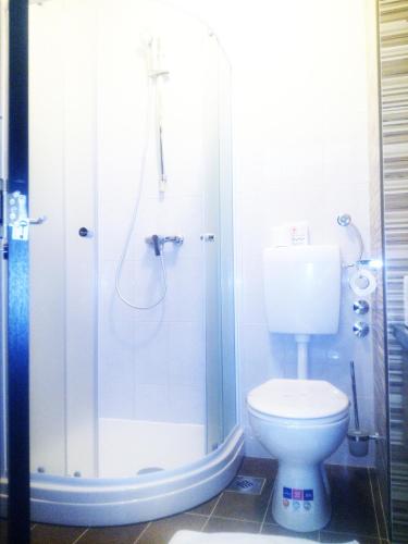 a bathroom with a toilet and a shower at Hotel Kutina in Kutina