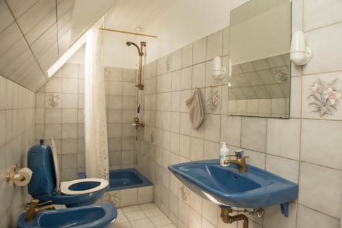 uma casa de banho com um lavatório azul e um WC. em Herligheden em Bjerringbro