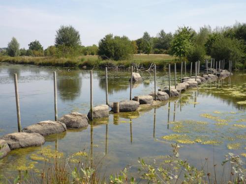 a row of rocks in the middle of a river at Pescalis Résidence Les Maisons du Lac in Moncoutant