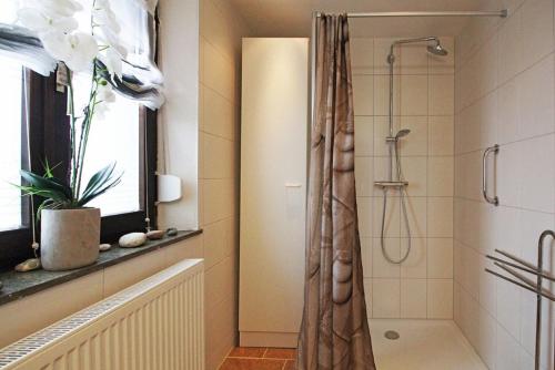 y baño con ducha y cortina de ducha. en Ferienwohnung Waldstraße, en Waldsassen