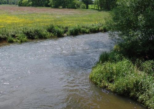 a stream of water with grass next to a field at Ferienwohnung Waldstraße in Waldsassen