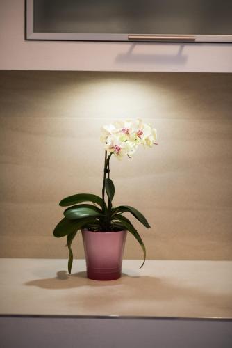 Gallery image of Apartment Andrija in Vrbnik