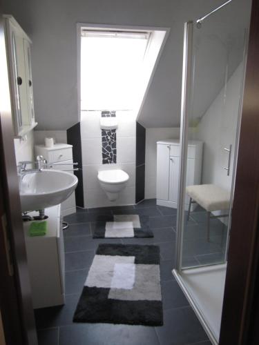 een badkamer met een wastafel, een toilet en een douche bij Ferienwohnung Wohlfeld in Habighorst