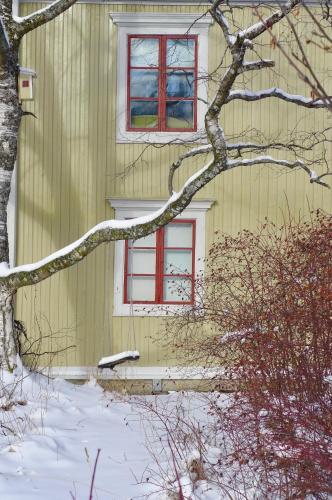 a green house with red windows and a tree at Prästgatanett Apartments in Östersund