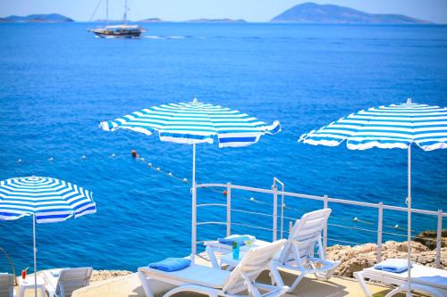 Φυσικό τοπίο κοντά σε αυτό το ξενοδοχείο