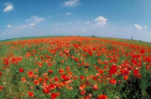 Naturlandschaft in der Nähe des Privatzimmers