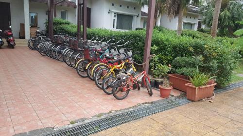Montar en bicicleta en The House of Water o alrededores