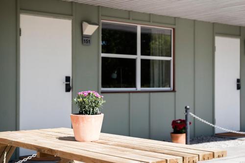 a potted plant on a wooden table in front of a house at Hotel Sleep2Night in Helsingør