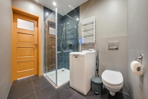 a bathroom with a toilet and a shower at Dwie Sosny z sauną, Sun & Snow in Ustronie Morskie