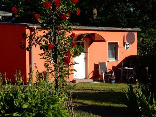 トレントにあるFeWo WE 6402 Ferien u Angeln auf Rügen-ruhige Lage,Garten!の赤いバラの庭のある小さな家