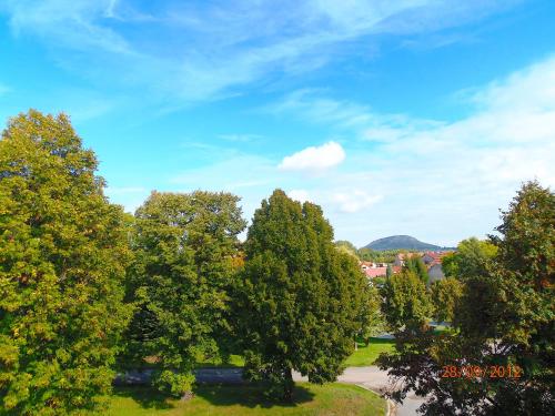 a row of trees in a park under a blue sky at Amálka u Řípu in Straškov