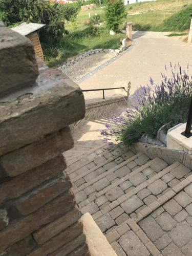 a stone wall next to a path with a bench at Vass-Villa Vendégház in Szekszárd
