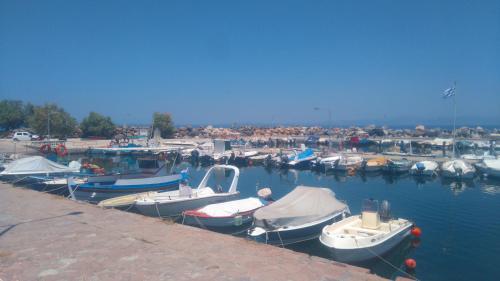 a group of boats are docked in a harbor at studio nufaro in Mytilini