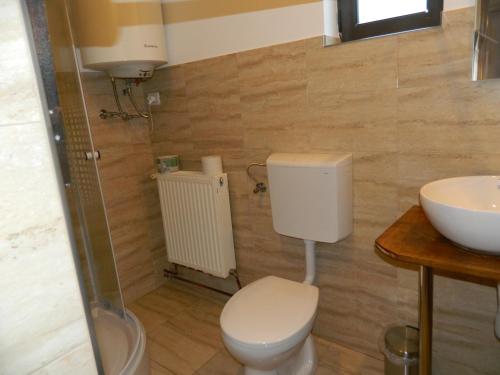 a bathroom with a toilet and a sink at Cabana Florea in Râu de Mori