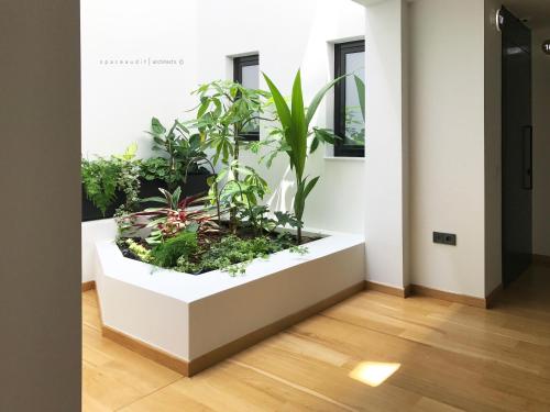 Κήπος έξω από το Sunday Boutique Hotel