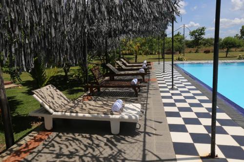 a row of lounge chairs next to a swimming pool at Eco Hotel Black & White - Anuradhapura in Mihintale