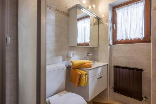 La salle de bains est pourvue de toilettes, d'un lavabo et d'un miroir. dans l'établissement Gästehaus Gisela, à Bruck am Ziller
