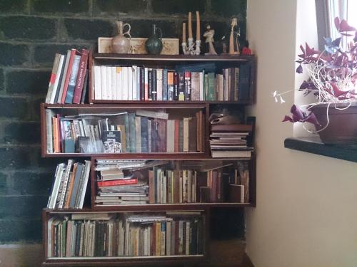 a book shelf filled with books next to a wall at IRIS B&B in DEBED CANYON in Alaverdi