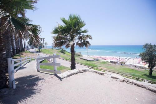 a white bench on a path near the beach at Spat Beach in Bat Yam