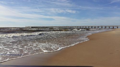 a sandy beach with a pier in the ocean at Saulės Krantas in Palanga