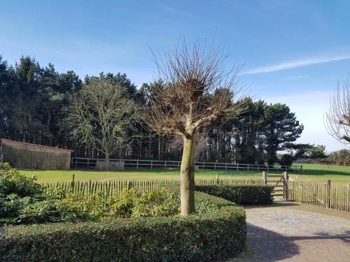 Jardín al aire libre en B&B Bergenhof