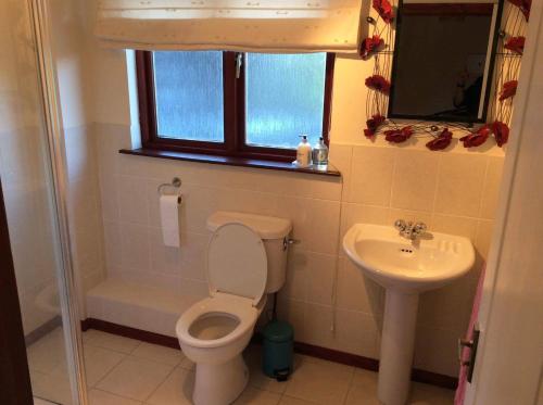 a bathroom with a toilet and a sink at Craigie dhu, guest house in Colliston