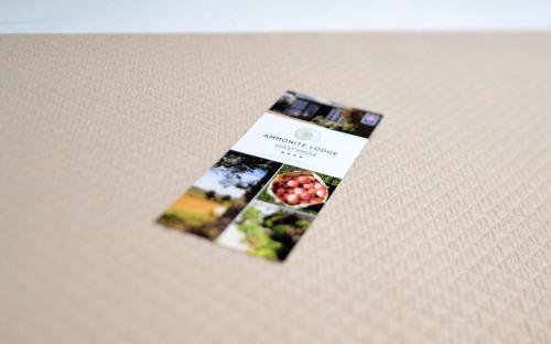a collage of pictures of apples on a table at Ammonite Lodge in Chard