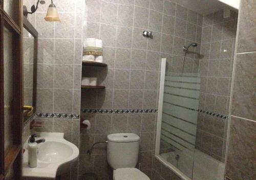 uma casa de banho com um WC, um chuveiro e um lavatório. em Casa Rural Calderon de Medina I y II em Siete Iglesias de Trabancos