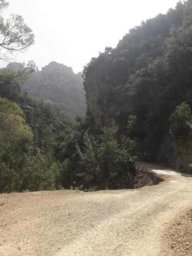 a dirt road in the middle of a mountain at Sierra de Cazorla in Arroyo Frio