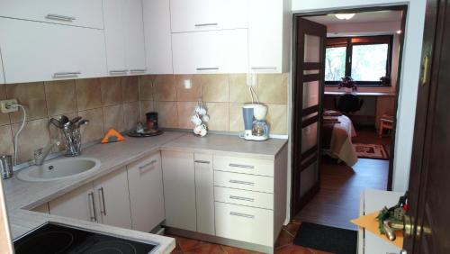 eine Küche mit einer Spüle und einer Arbeitsplatte in der Unterkunft Di-Ana in Sibiu