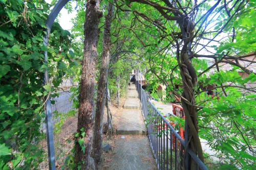 a fence with trees and a walkway at Frascati Country House in Grottaferrata