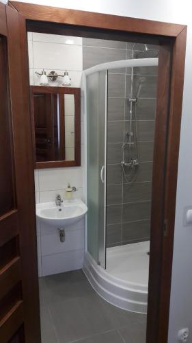 a bathroom with a shower and a sink at Agroturystyka Żubrówka in Żubrówka