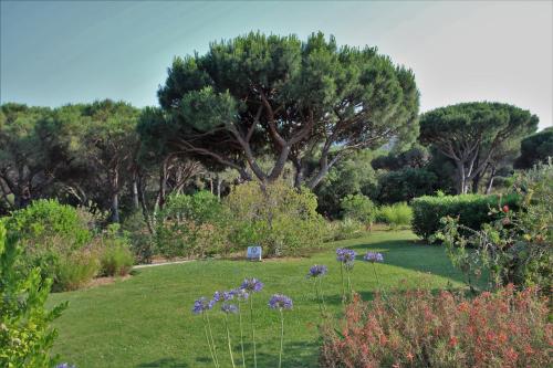 Un jardín fuera de Appartement les Pins Bleus A8