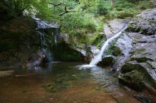 a small waterfall in a river with rocks at Le Vieux Sart 3 in Stavelot