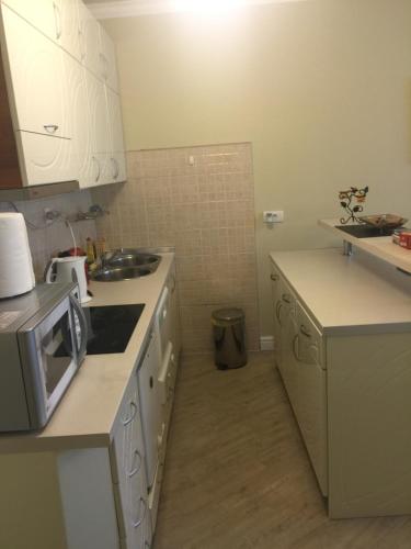 Η κουζίνα ή μικρή κουζίνα στο Apartman Bitef Skadarlija