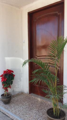 two potted plants sitting in front of a door at La Maison de Lydia in Nazca