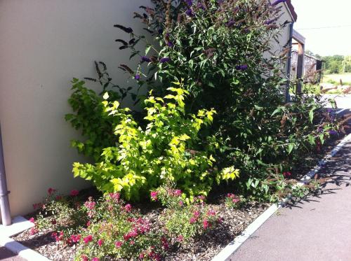 a garden of flowers and plants next to a building at Fasthôtel Le Râle Des Genêts - Un hôtel FH Collection in Dun-sur-Meuse