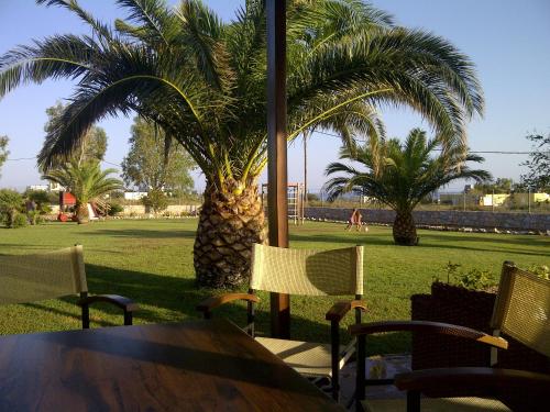 a table and chairs in front of a palm tree at Kallicrates Village in Frangokastello