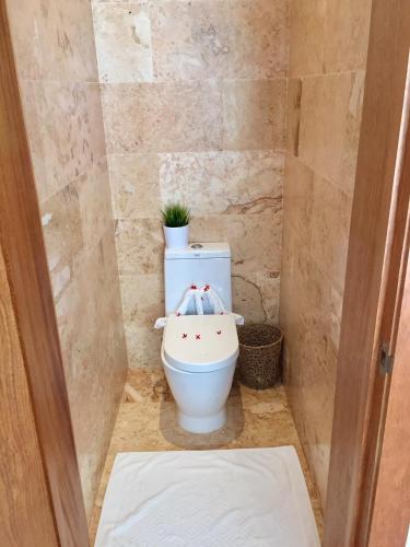 a bathroom with a toilet with a plant on top at Aligio Beachfront Paradise in Las Terrenas