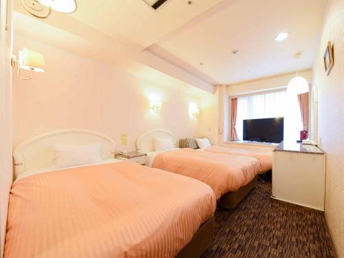 TV a/nebo společenská místnost v ubytování Kobe Sannomiya Union Hotel
