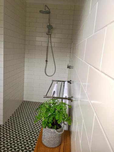 a bathroom with a shower and a potted plant at Sunny Side Up B&B Rye in Rye